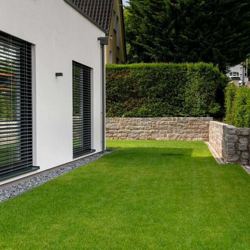 Rasenfläche neben einem Neubau mit Natursteinmauern und Hecke